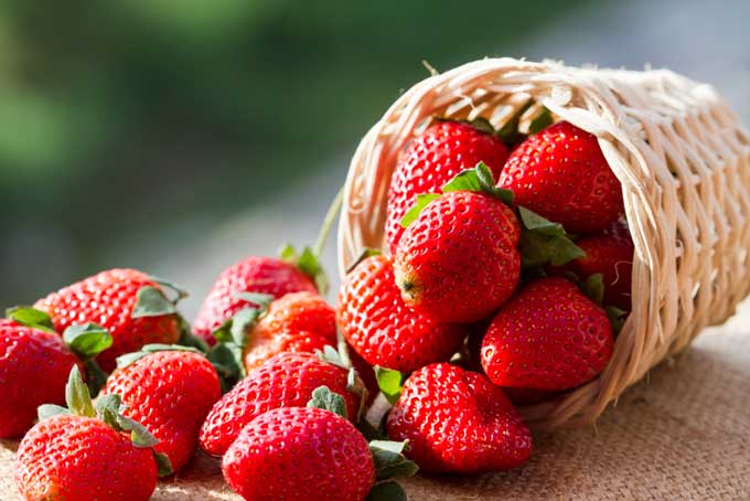 Addition of Fresh Strawberries