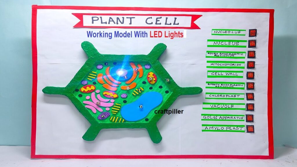 Illuminated Cells