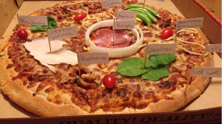 Plant Cell Pizza Project