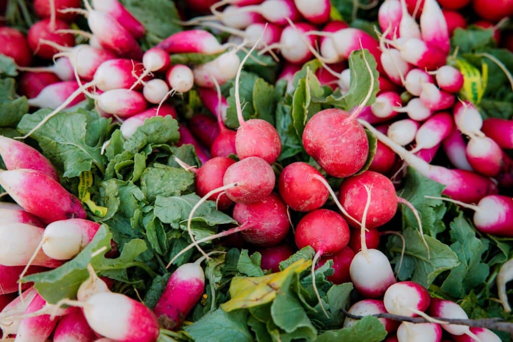 Radishes