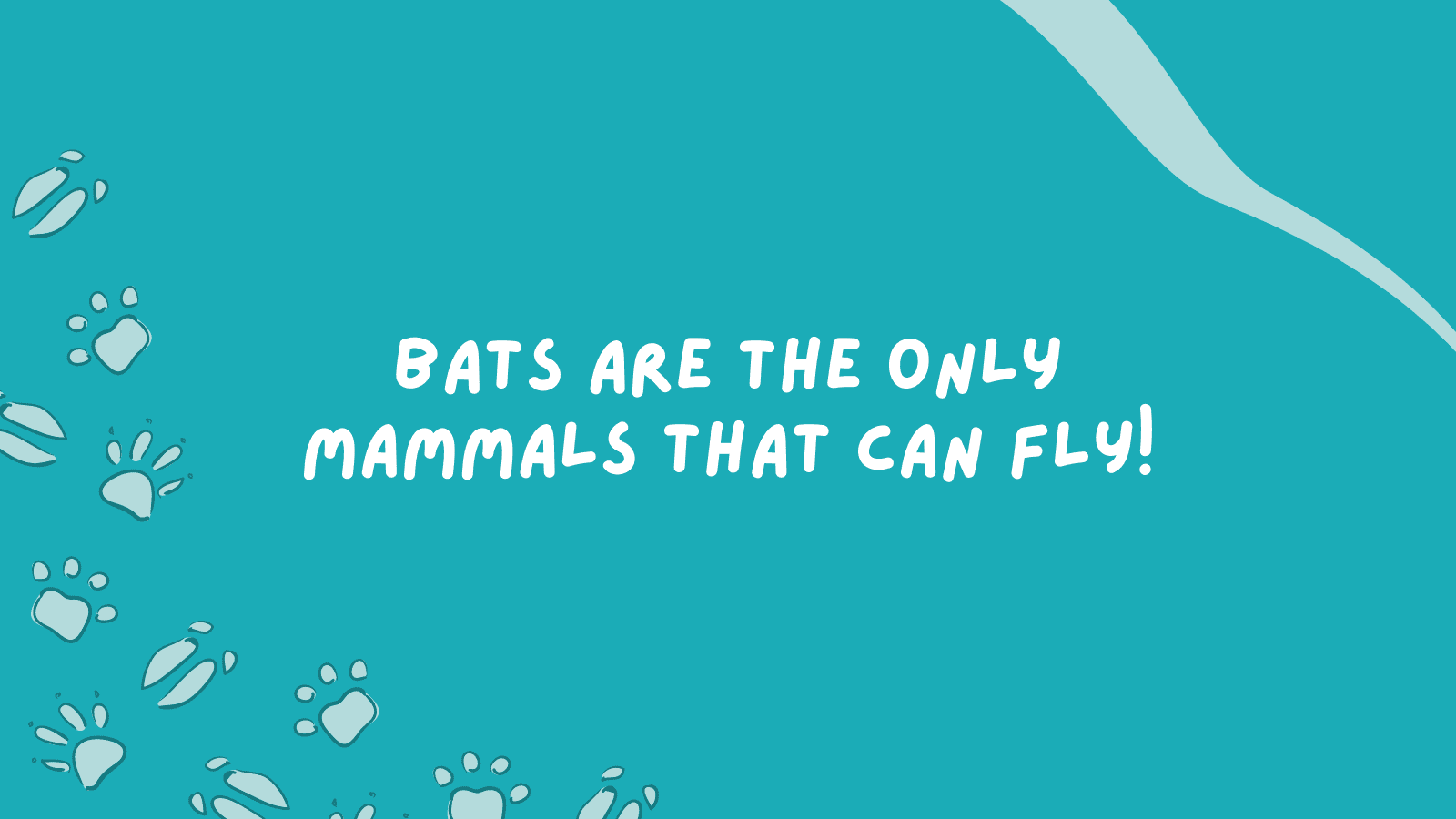 Weirdly Funny Facts About Animals